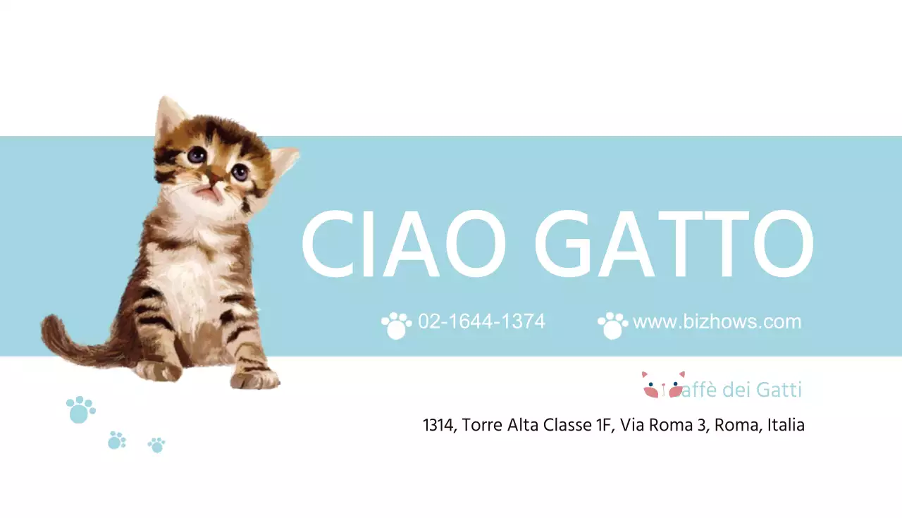 CiaoCat