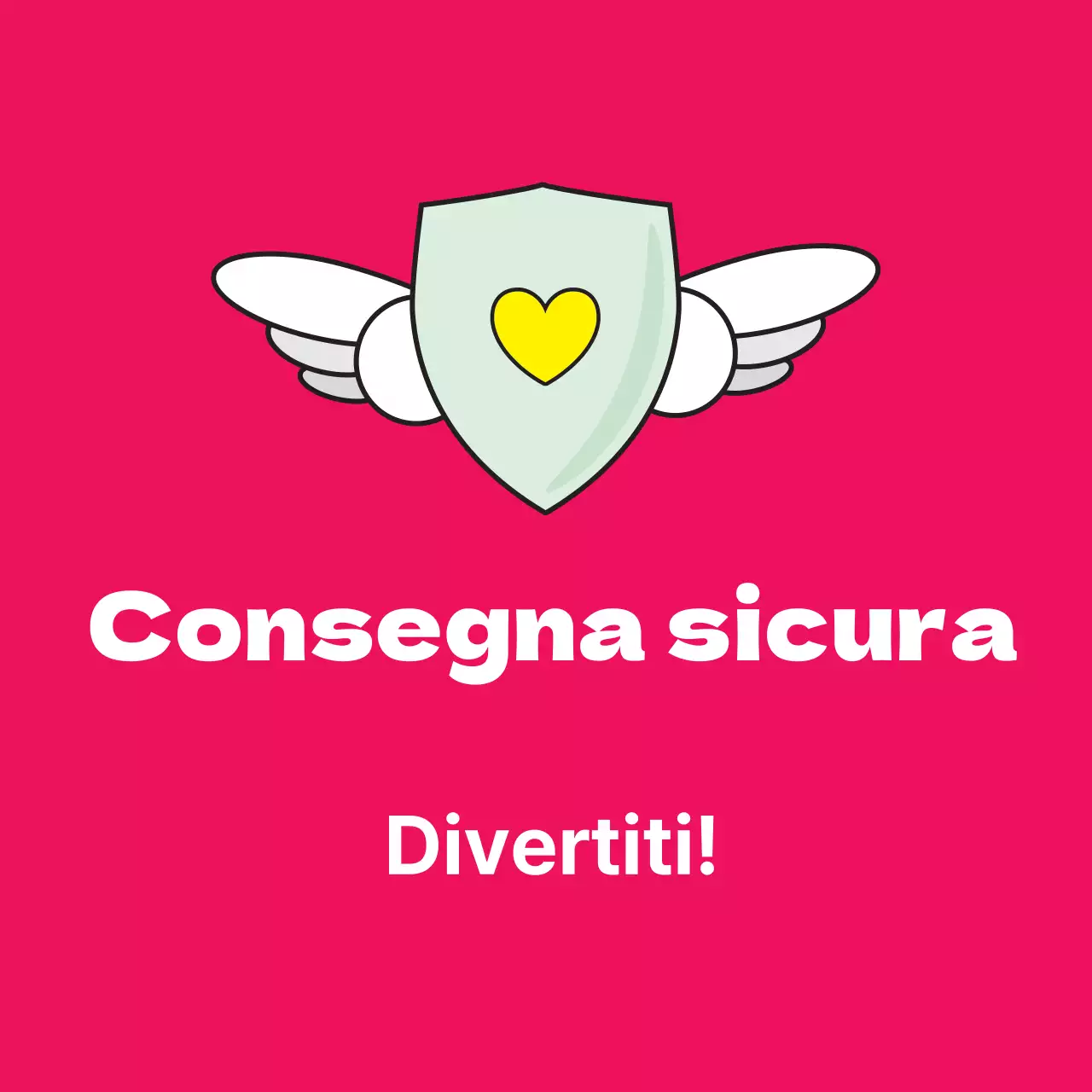 45208_Consegna sicura