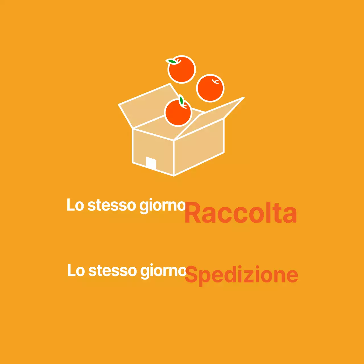 Prodotti_Raccolta giornaliera