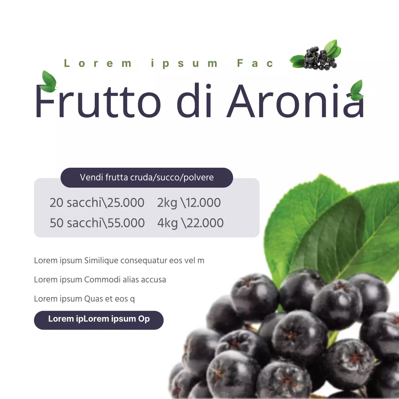 Aronia