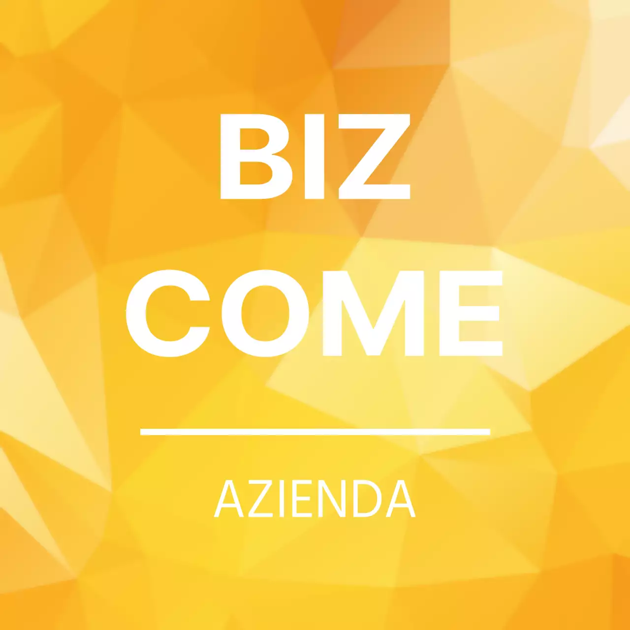 COME FUNZIONA LA BIZ