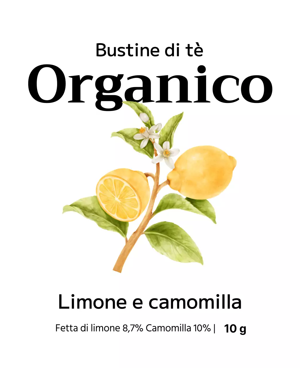 Bustine di tè biologico alla frutta con illustrazioni di frutta ad acquerello