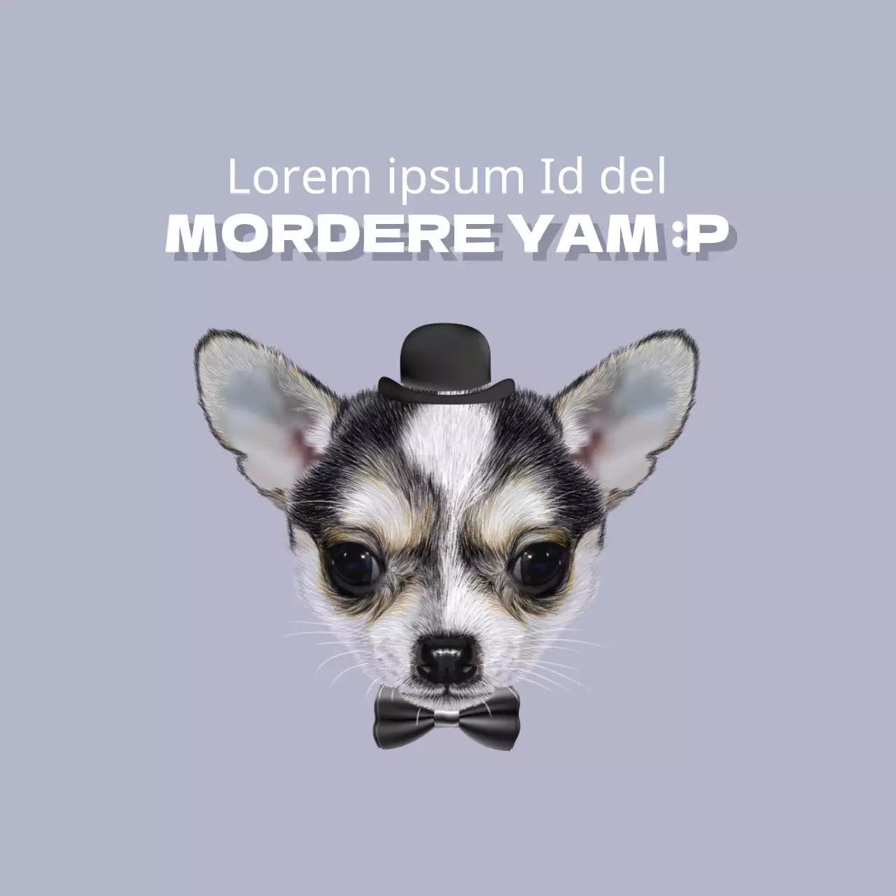 MORDERE YAM