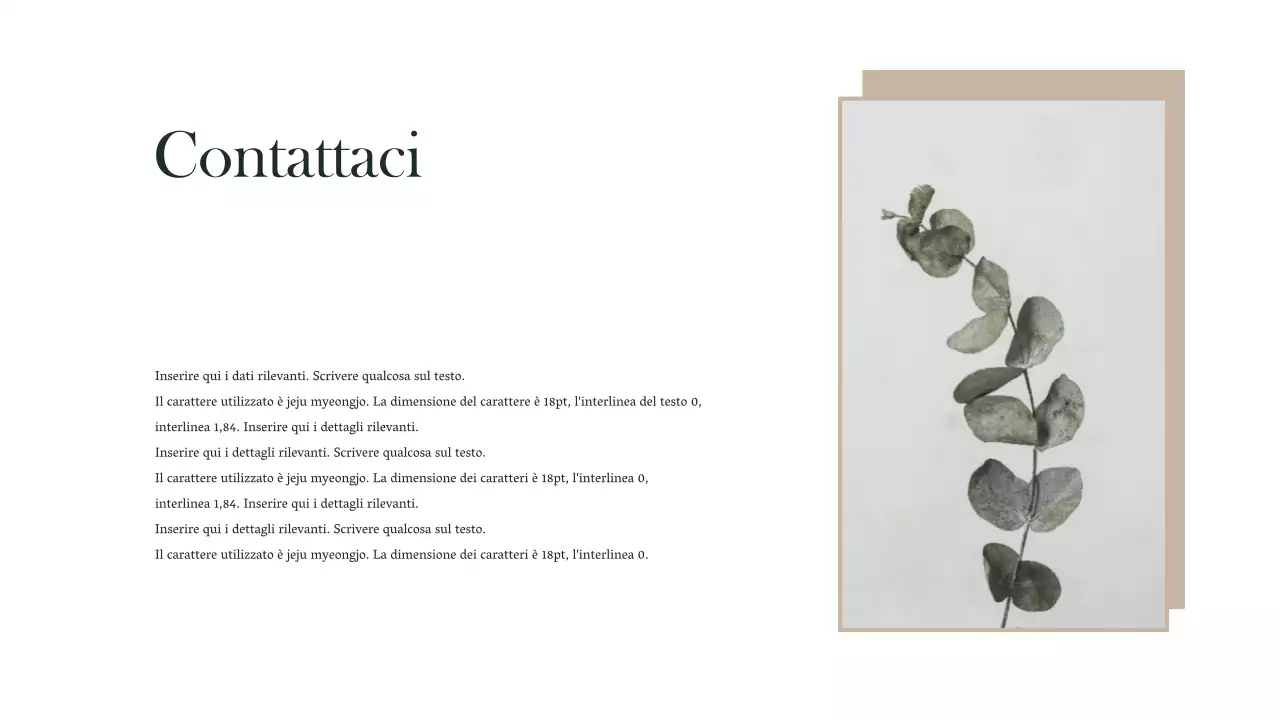 Presentazioni del marchio