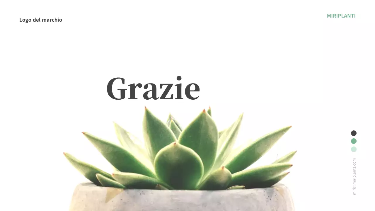 Modello di pianta a tema verde e bianco