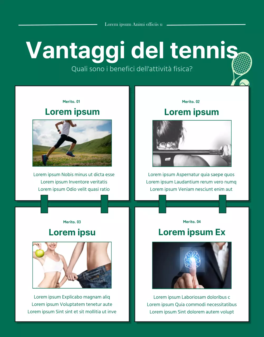 Dettagli del pass giornaliero per il green modern tennis