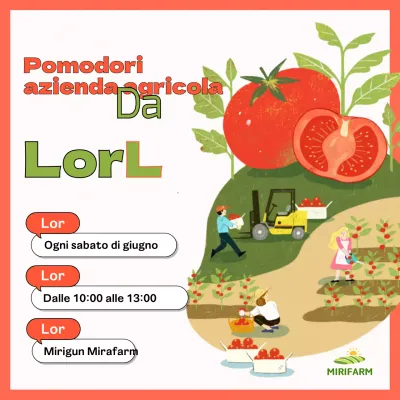 Presentazione dell'esperienza della fattoria del pomodoro arancione illustrato