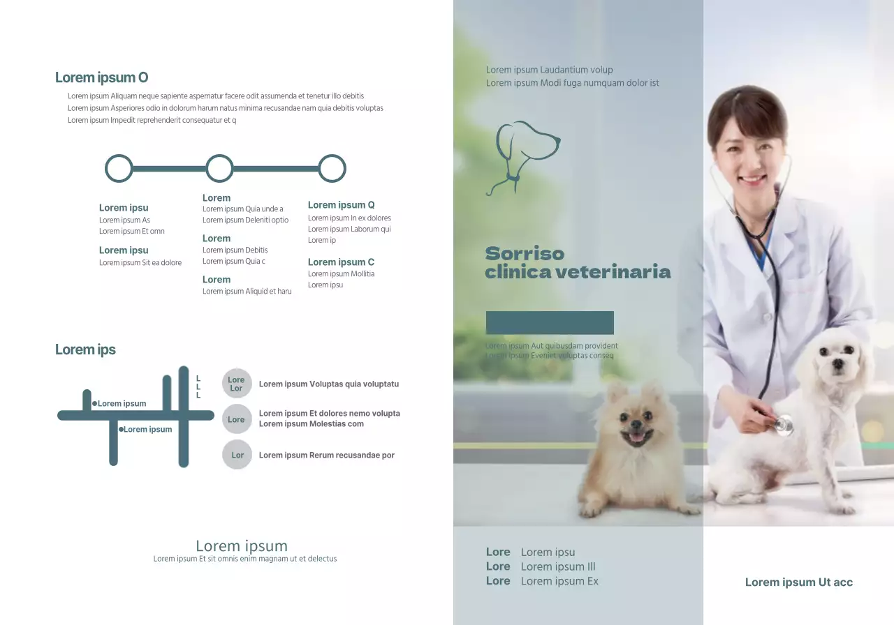 Concetto di orario della clinica veterinaria turchese