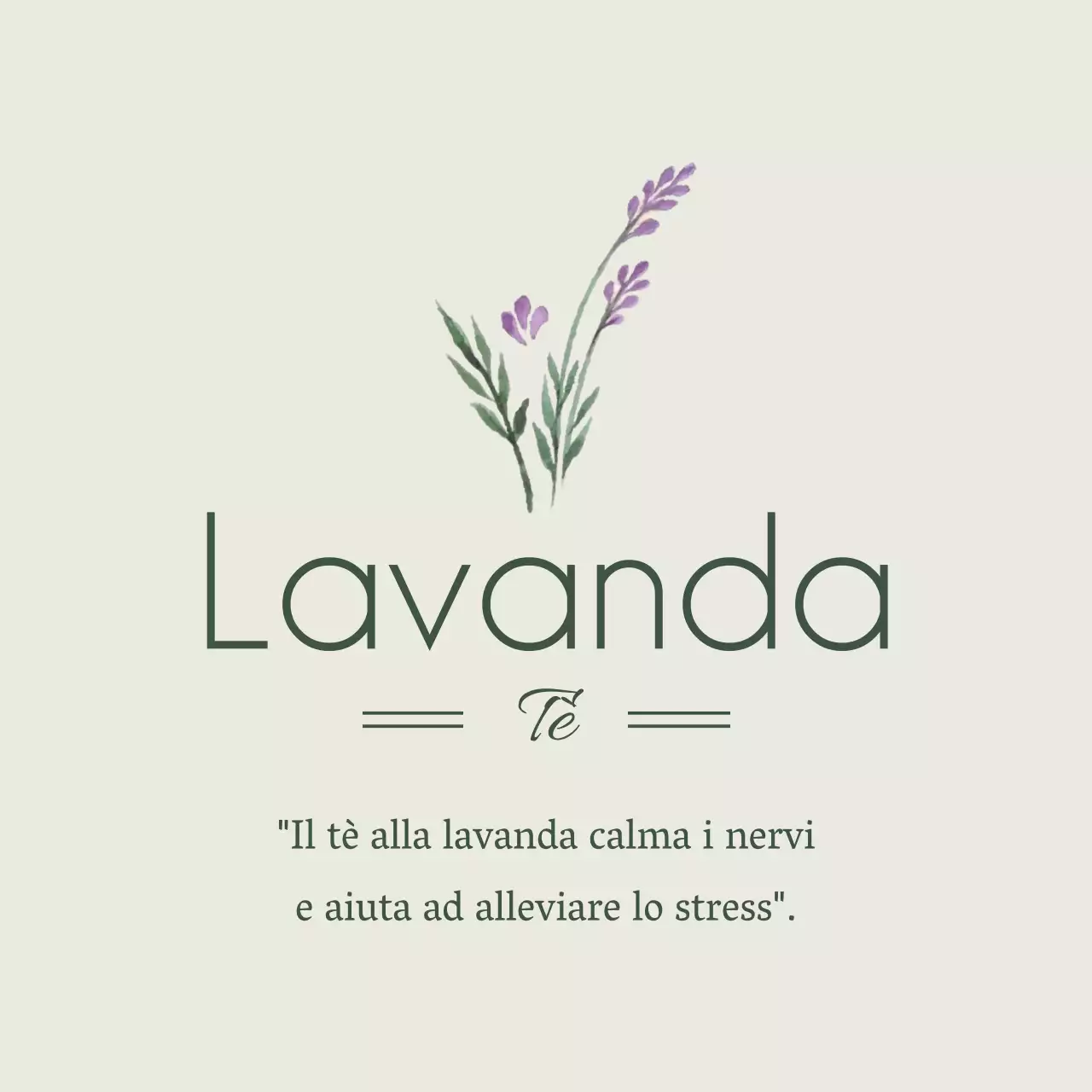 Lavanda