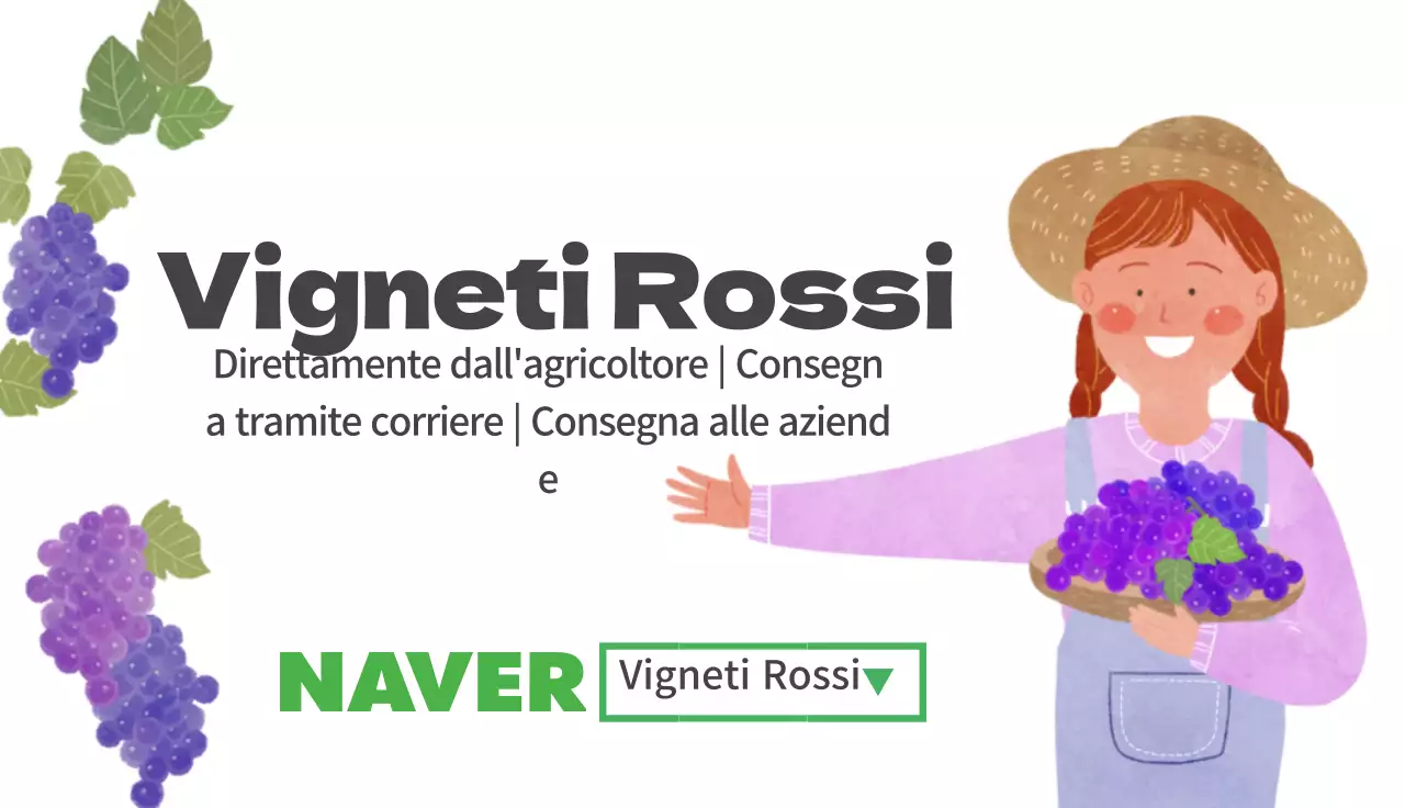 Illustrazione viola prodotti carini