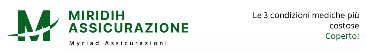 Un design semplice con un logo verde, il nome dell'assicuratore e una descrizione del prodotto assicurativo.