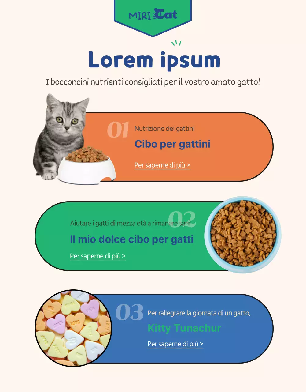 Un'offerta all-in-one di forniture per gatti verdi e marini