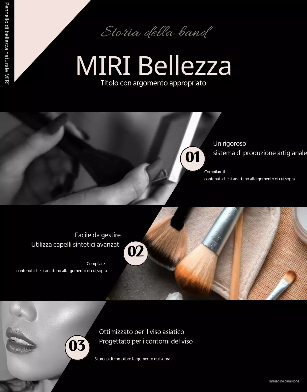 Promuovere spazzole di lusso in nero e beige