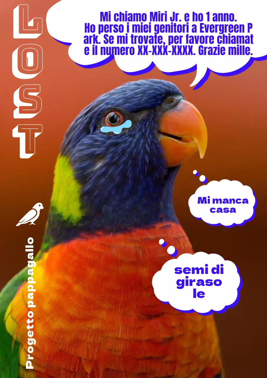 Trova un simpatico pappagallo da compagnia nel volantino arancione blu 2