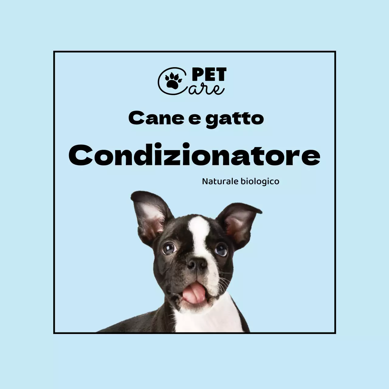 etichetta semplice per animali domestici con logo azzurro