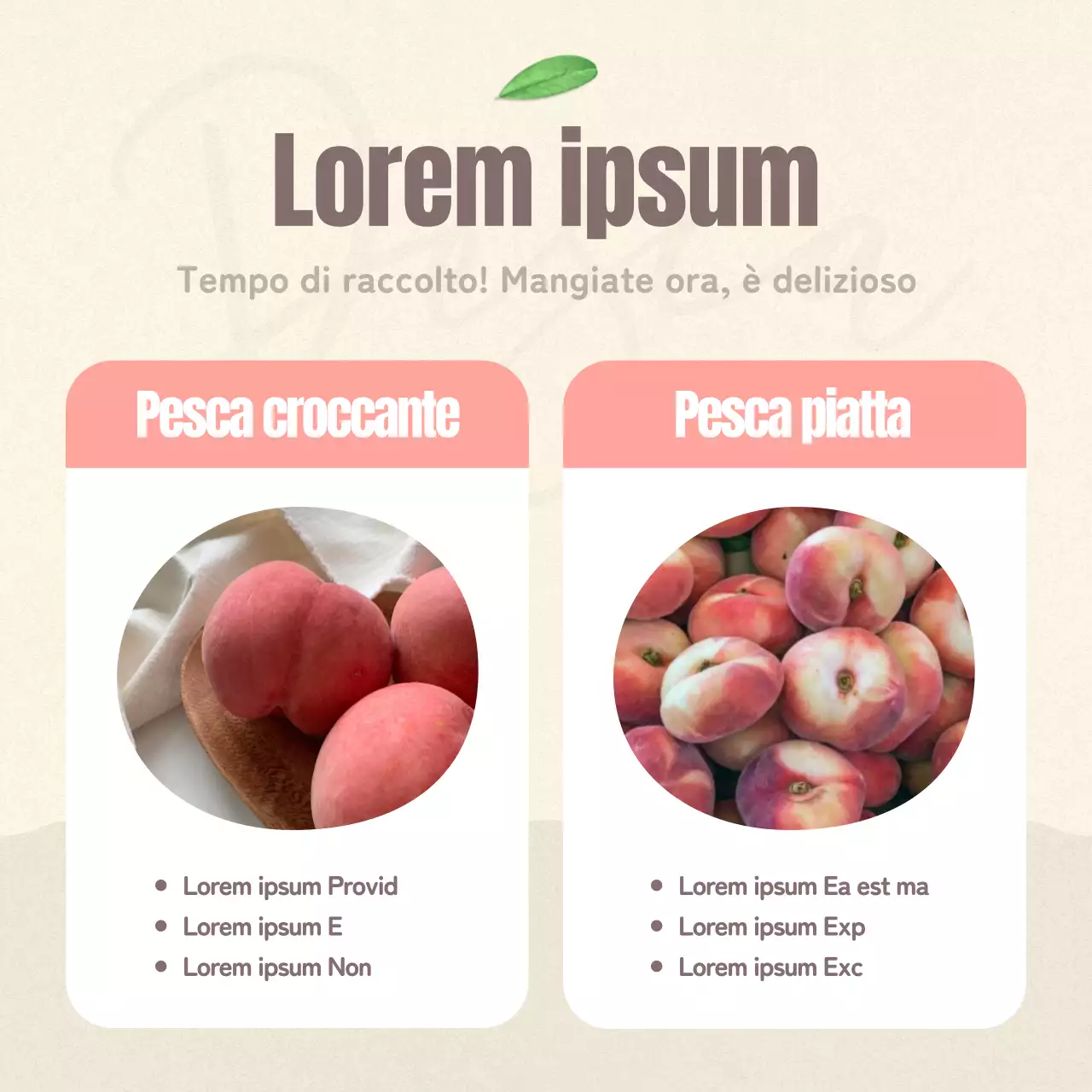 Come conservare i bei frutti delle pesche rosa e beige