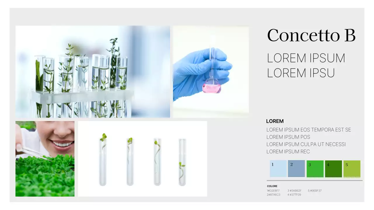 Scheda concettuale di cosmetica con tema la natura verde