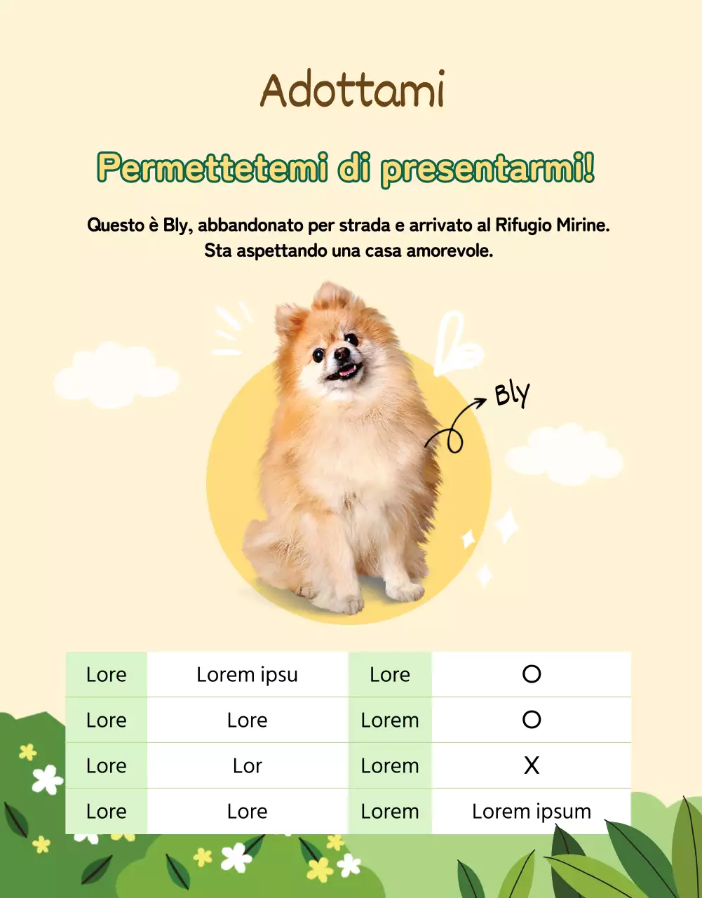 Pagina verde e gialla con i dettagli dell'adozione di un animale domestico