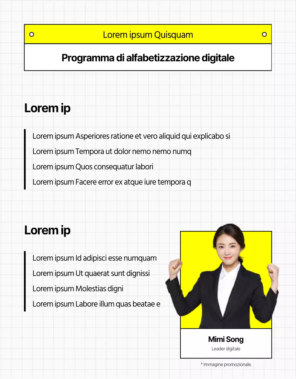 Presentazione del programma di formazione Simple Yellow