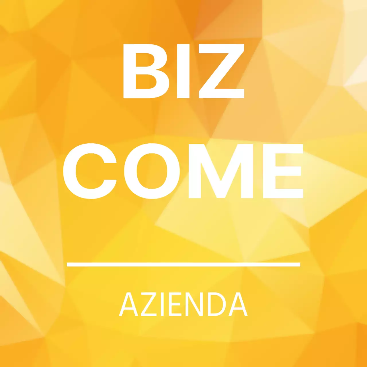 COME FUNZIONA LA BIZ