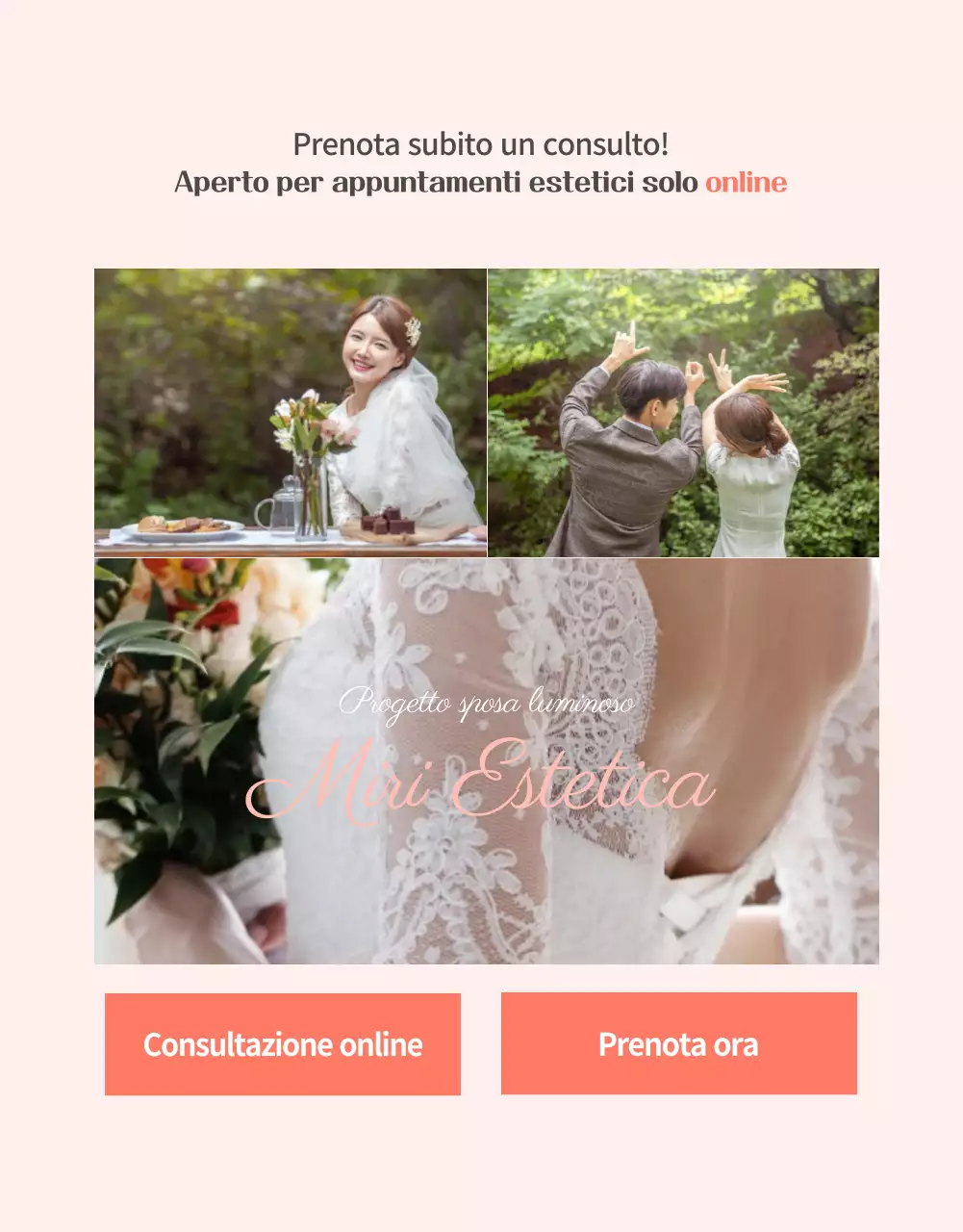 Lussuoso evento per la cura della pelle del matrimonio in rosa-pesca (pagina dettagliata)