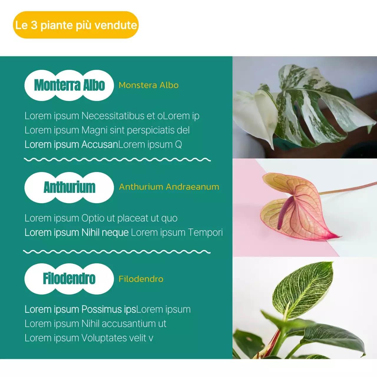 Proposte tecnologiche alimentari colorate