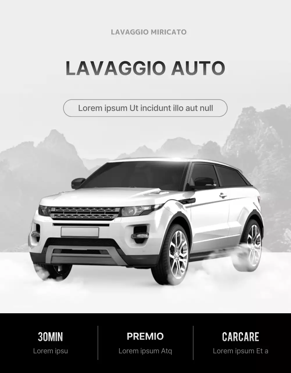 Lavaggio a mano di auto bianche e nere