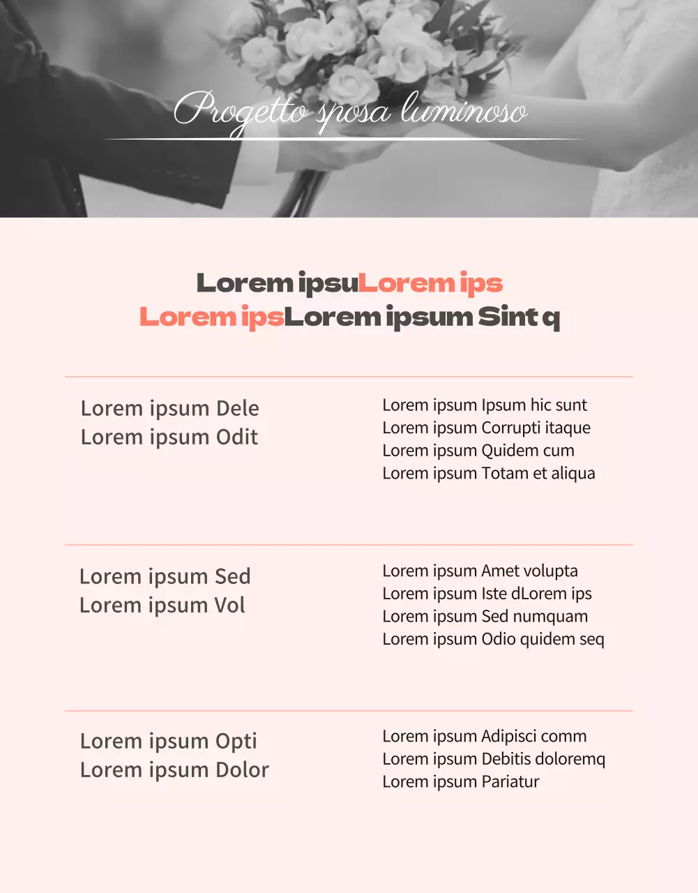 Lussuoso evento per la cura della pelle del matrimonio in rosa-pesca (pagina dettagliata)