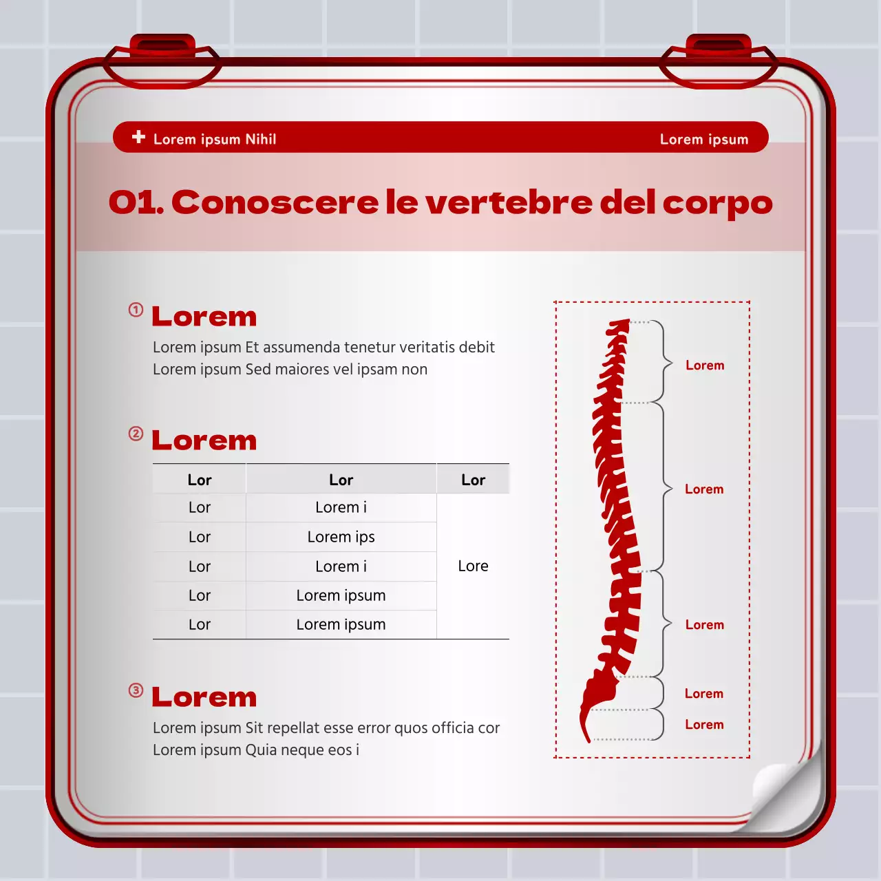 Concetto di kit di pronto soccorso in ferro rosso e bianco Informazioni sul disco lombare e promozione ospedaliera