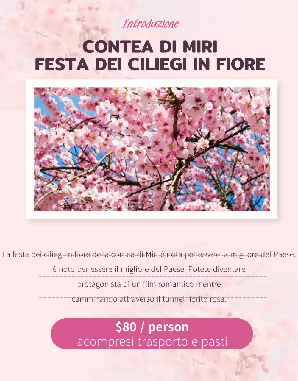 Graziose illustrazioni di fiori di ciliegio in rosa pastello per promuovere il viaggio