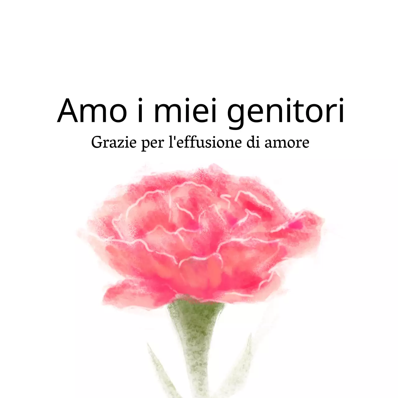 Auguri per la festa della mamma in garofani rosa