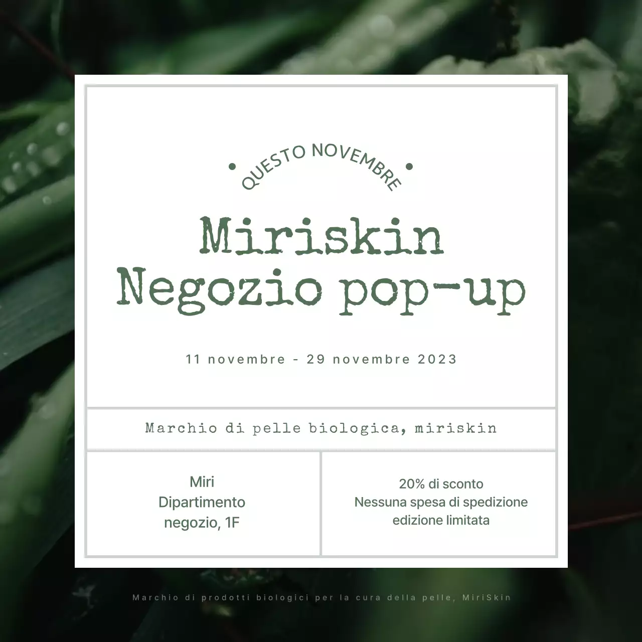 Recensione dei cosmetici biologici Green's