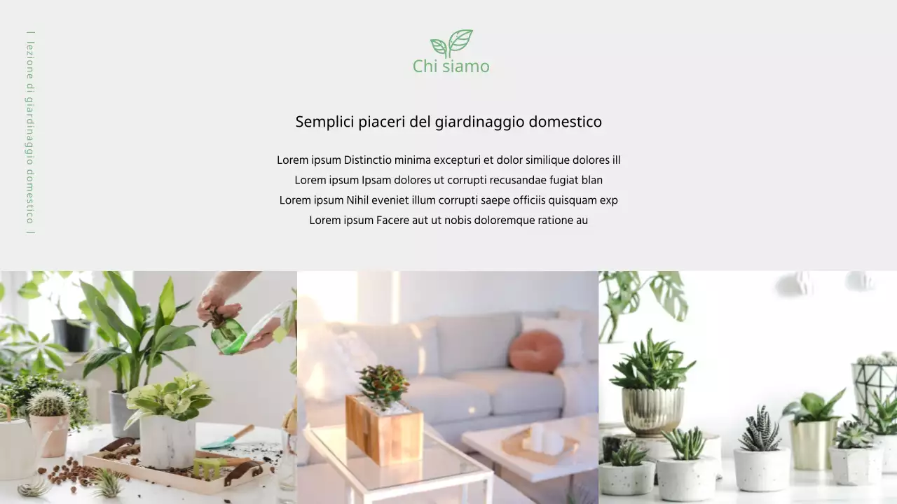 Verde oliva, proposta di classe calda (presentazione)