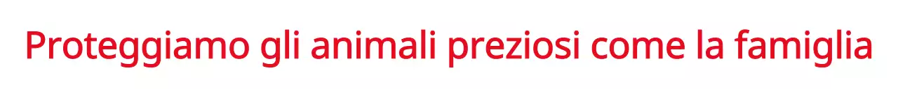 Promozione di un evento con il concetto di associazione animalista in rosso.