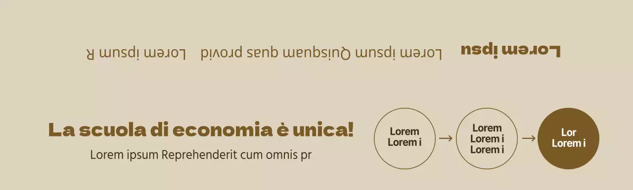 Informazioni sulle scuole specializzate in esami di ammissione all'università di colore marrone