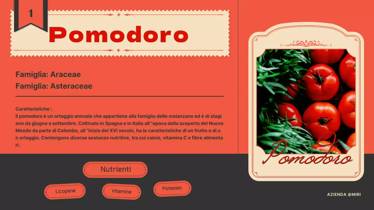 Presentazione dei pomodori con un concetto di etichetta vintage in arancione e blu navy