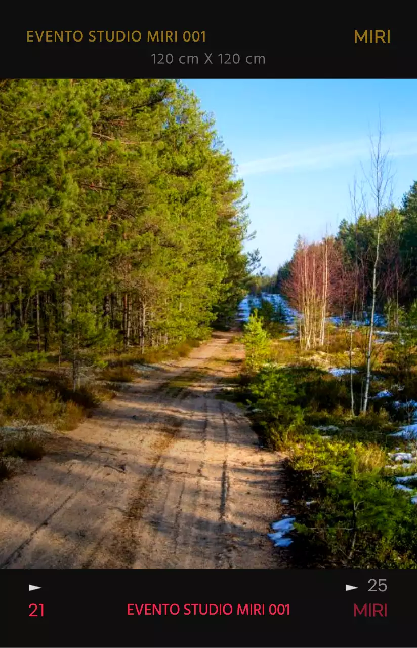 Concetto di cornice per foto emozionale e alla moda con colori ad alto contrasto per il merchandising personale