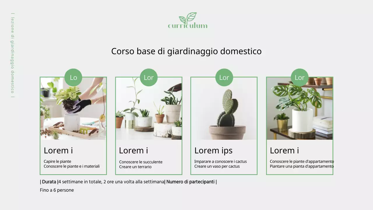 Verde oliva, proposta di classe calda (presentazione)