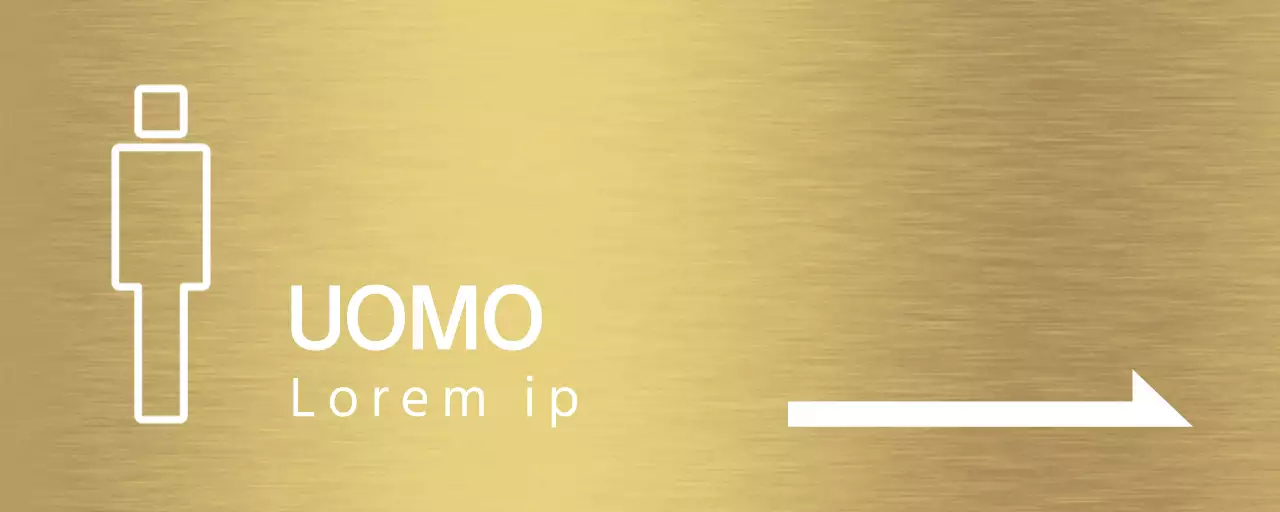 Istruzioni per la toilette con pittogrammi umani bianchi e frecce