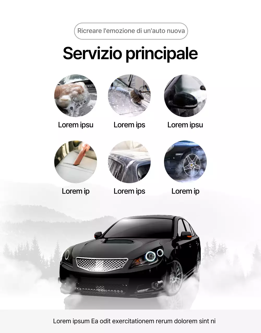 Lavaggio a mano di auto bianche e nere