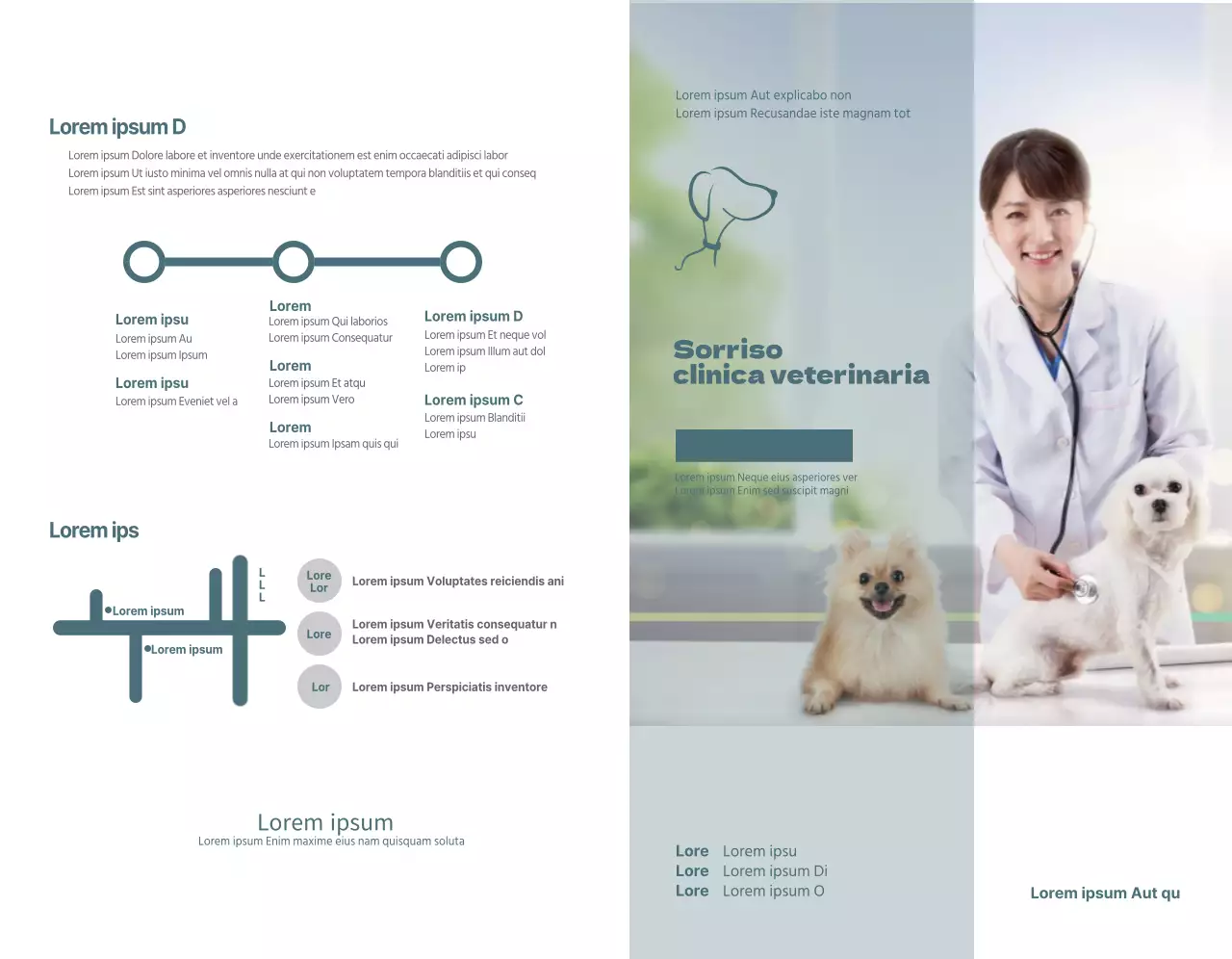 Concetto di orario della clinica veterinaria turchese