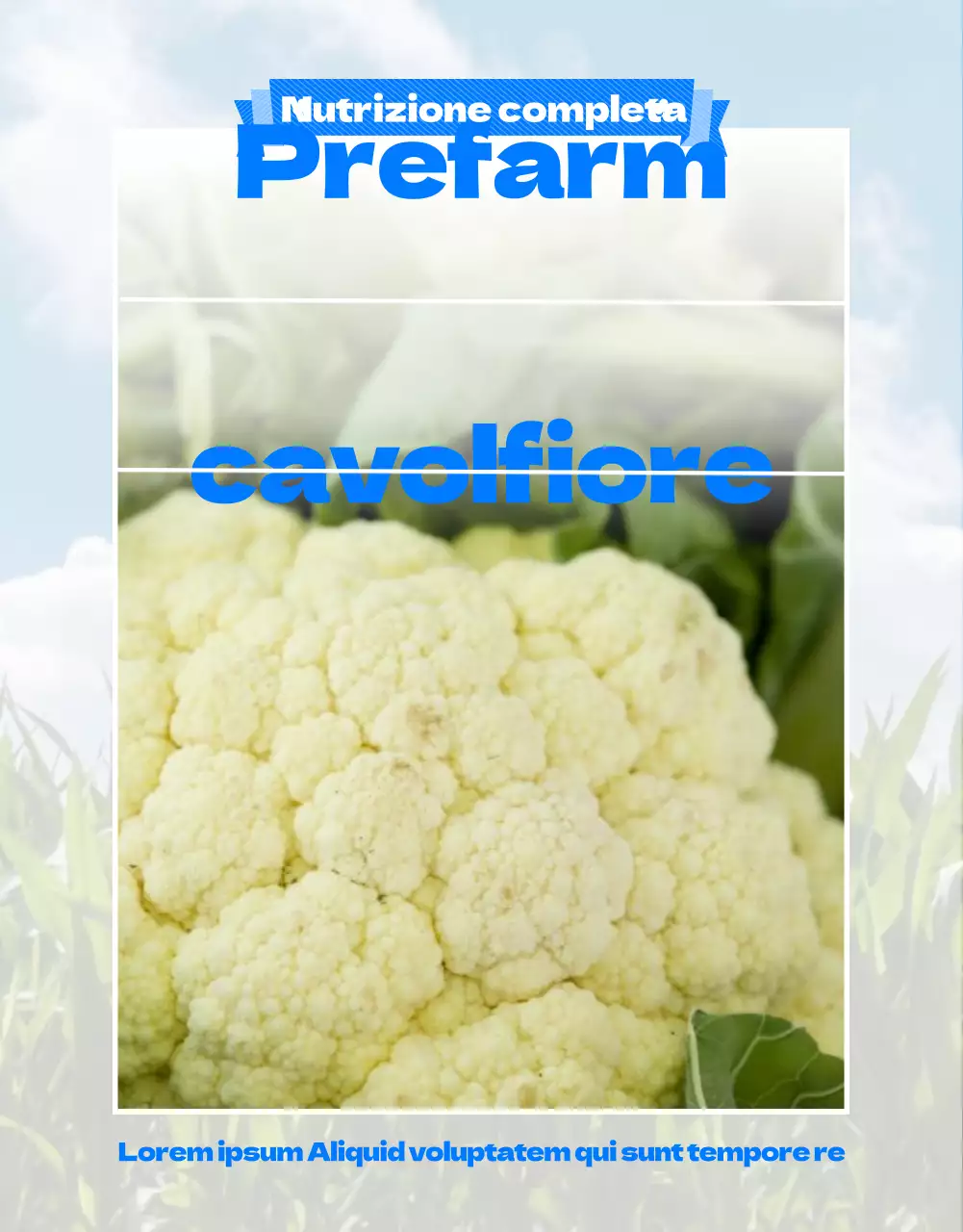 Guida a una fattoria di cavolfiori con un simpatico tema illustrativo blu-verde