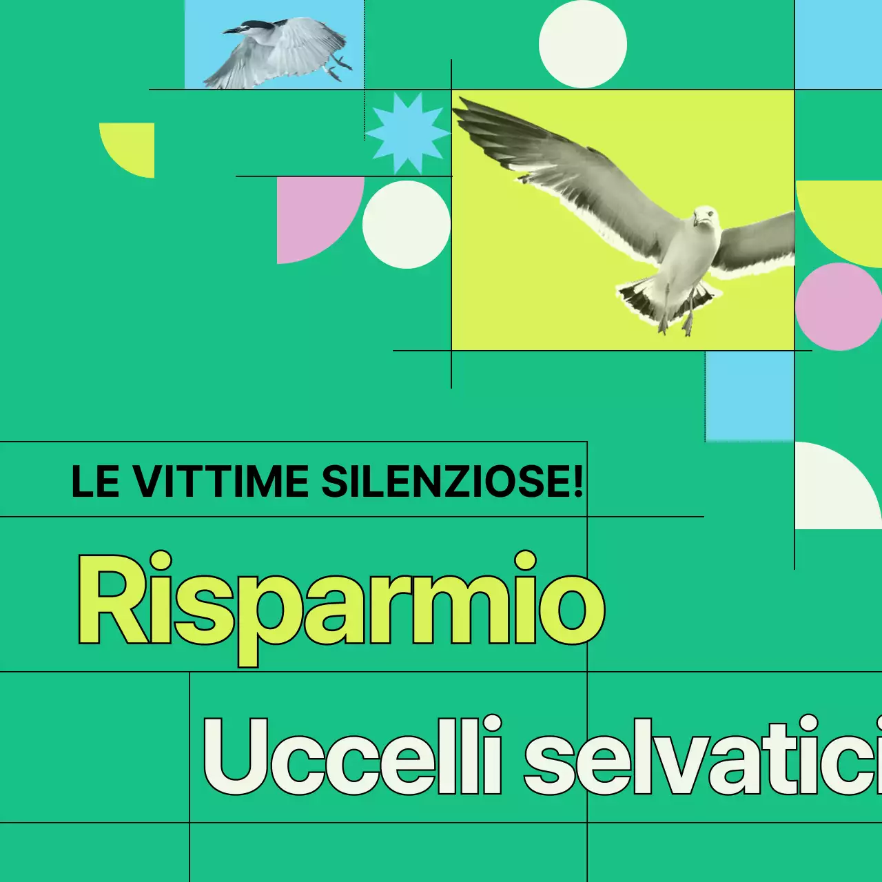 Informazioni sulla prevenzione delle collisioni con uccelli selvatici verdi e geometrici (Card News)