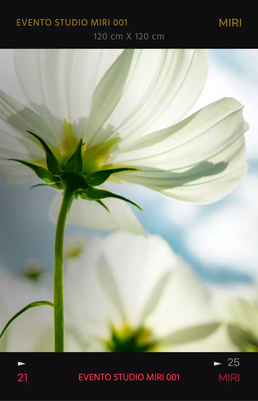 Concetto di cornice per foto emozionale e alla moda con colori ad alto contrasto per il merchandising personale