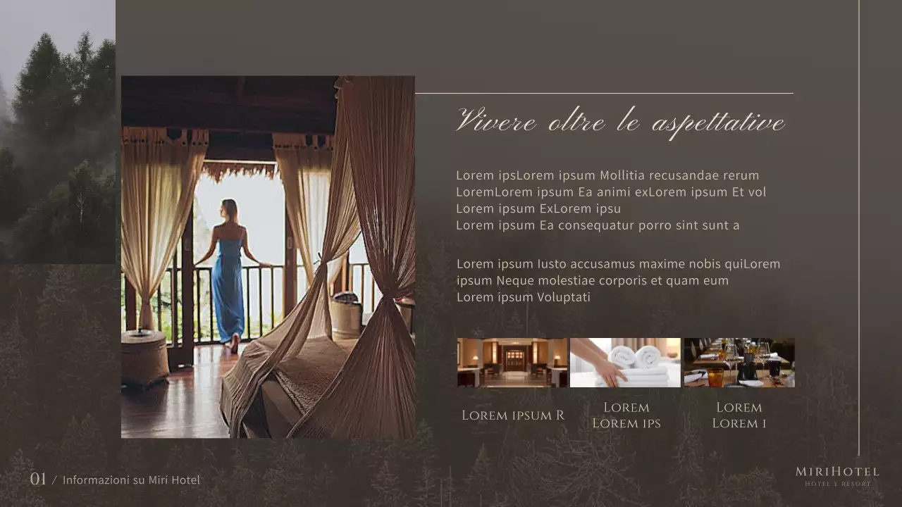 Un pacchetto alberghiero moderno e lussuoso nei toni del marrone e del beige Descrizione del prodotto