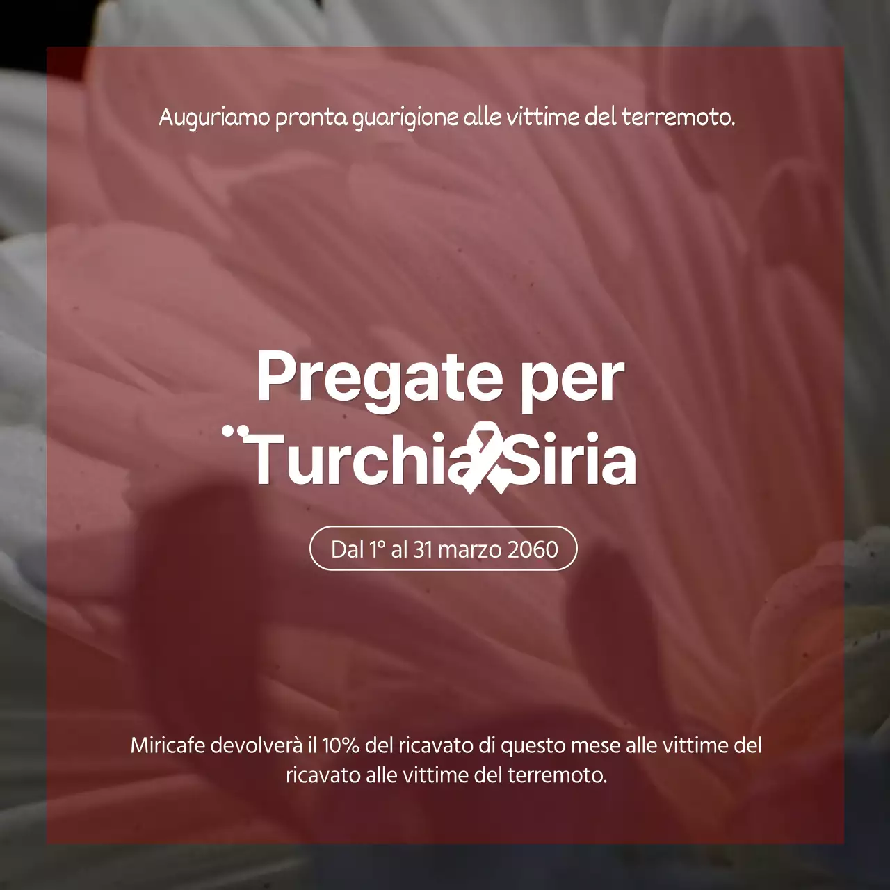 Un memoriale di crisantemi in grigio e rosso