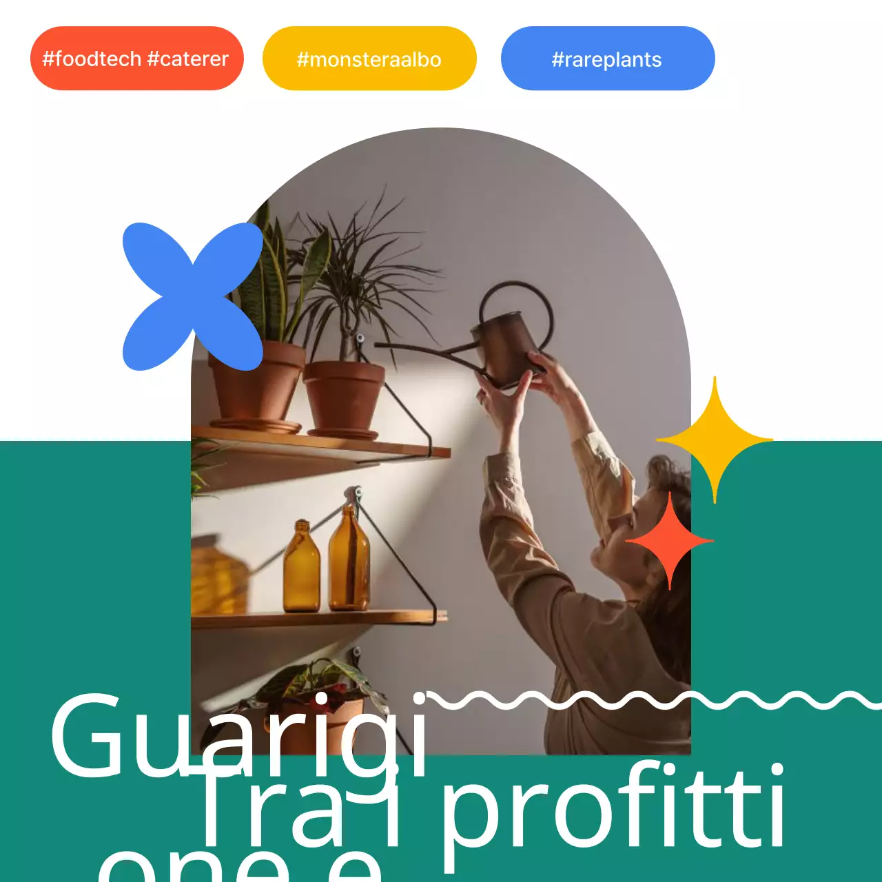 Proposte tecnologiche alimentari colorate