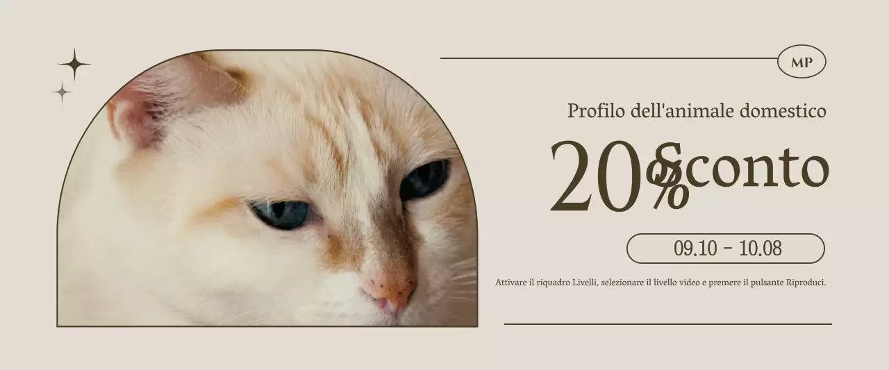 Promuovere uno studio fotografico di concetto marrone ed emozionale