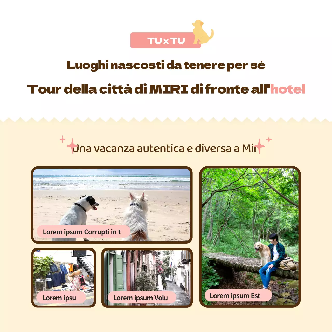 Promuovere un hotel per cani rosa, caldo e coccoloso (CardNews)