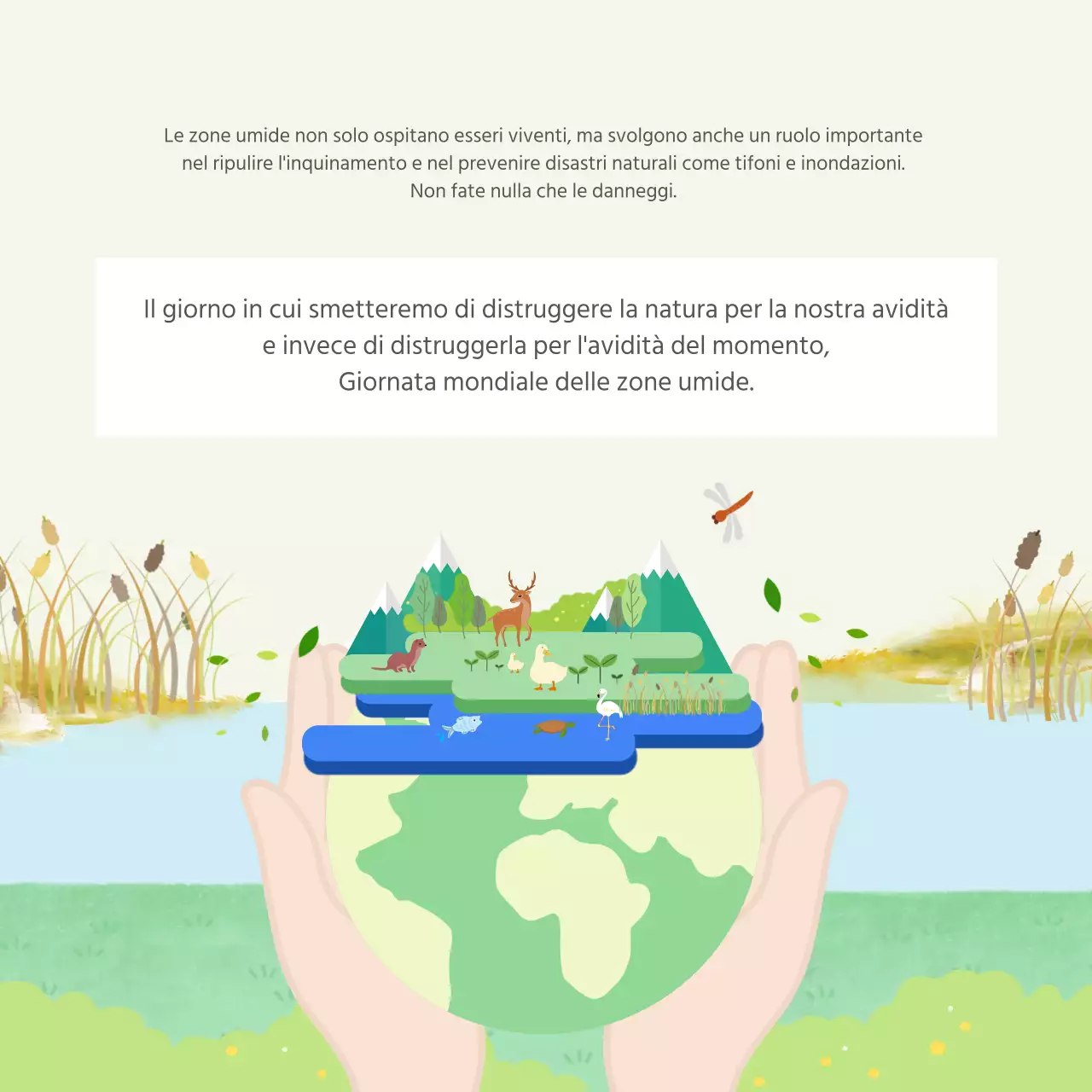 Ducasse Giornata mondiale delle zone umide CardNews Design
